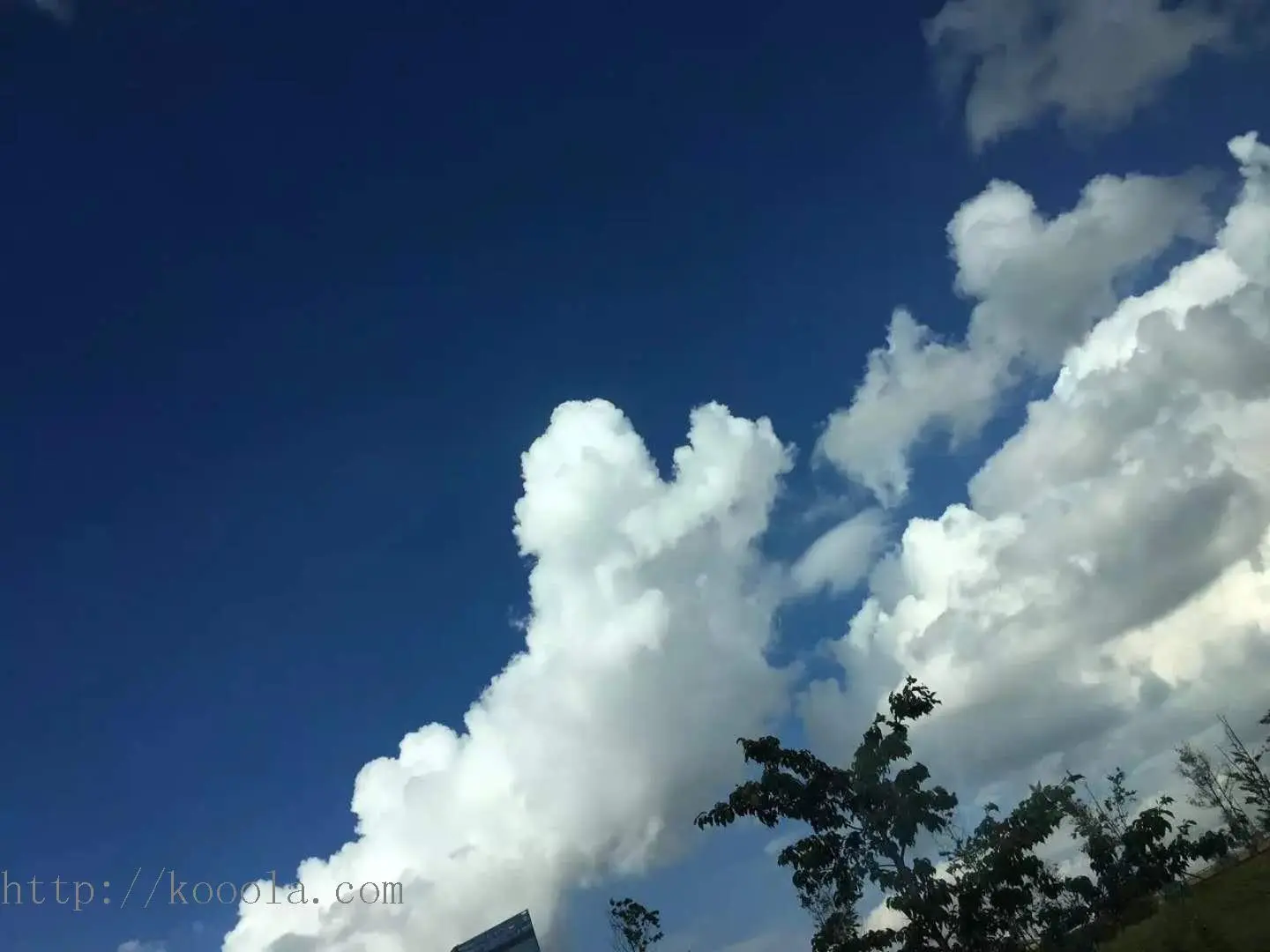 请输入图片描述