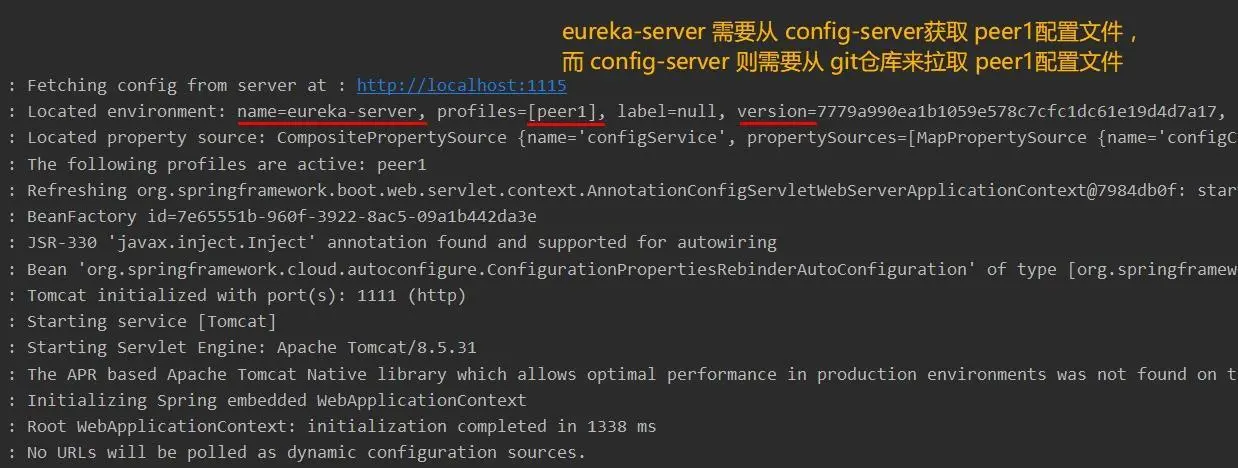 用 peer1配置文件来启动第一个eureka server