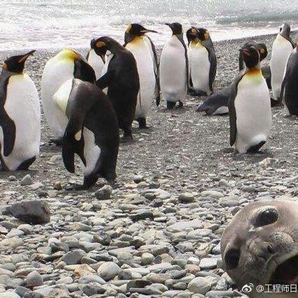 程序员趣事于2018-10-22 13:43发布的图片