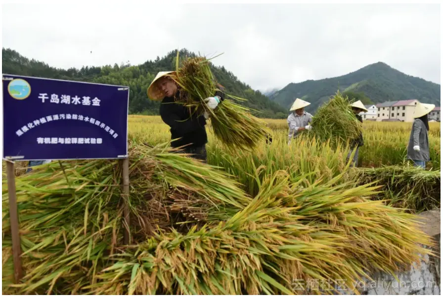 b8579878f8af5ed543514c79b1ee0287de9c2420