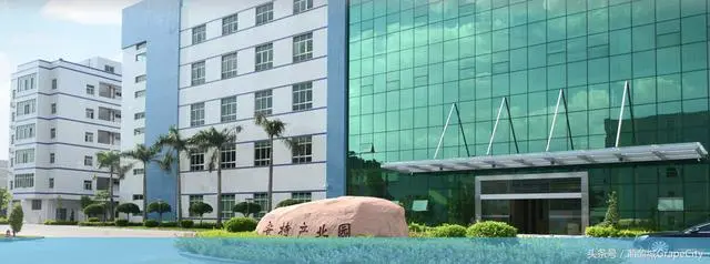 安特医疗携手葡萄城，用活字格定制业务管理系统