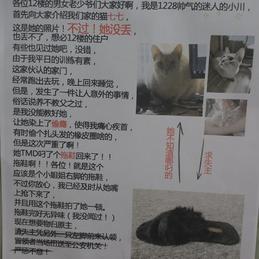 娱乐小编于2018-10-23 11:32发布的图片
