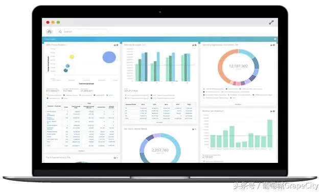 丰贺携手葡萄城，用 SpreadJS 打造行业领先的财务管理咨询专家