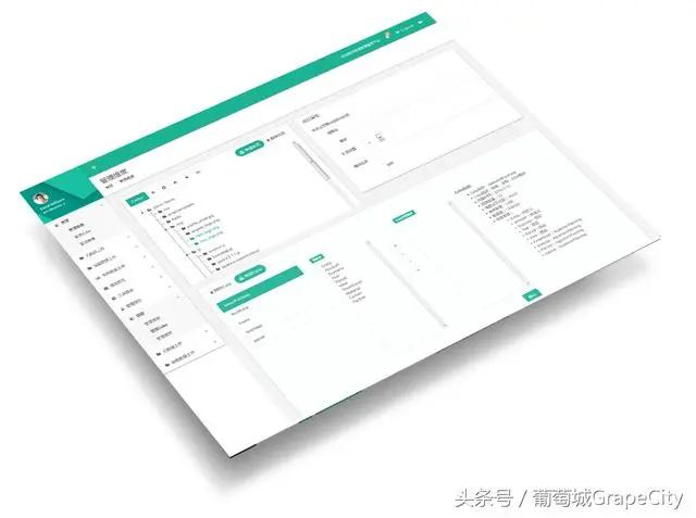 丰贺携手葡萄城，用 SpreadJS 打造行业领先的财务管理咨询专家