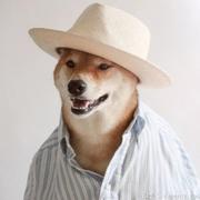 只为清风明月的个人资料头像