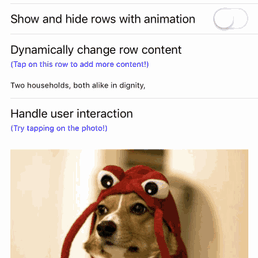 iOS技术研究员于2018-10-25 14:09发布的图片