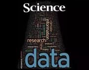 数据深海的个人资料头像