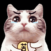 macvision的个人资料头像