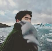 林子ZL的个人资料头像