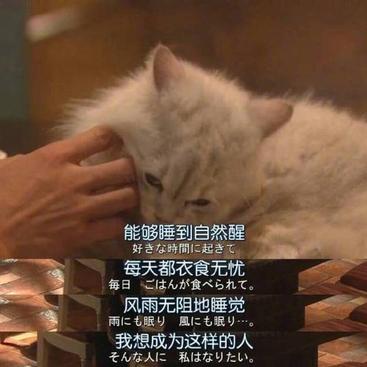 橙子的橙于2018-10-26 10:32发布的图片