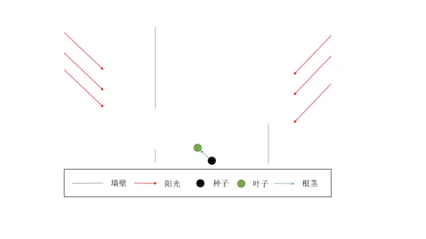 工程师，别人听的懂你的技术吗？