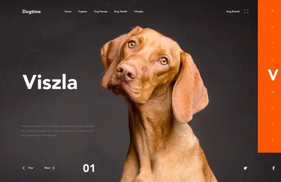 甲方竟敢说你的配色丑！ 我来教你怼回去（四）