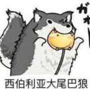 s09g的个人资料头像