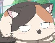 蔡的开心的个人资料头像