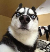 Aaron_2016的个人资料头像