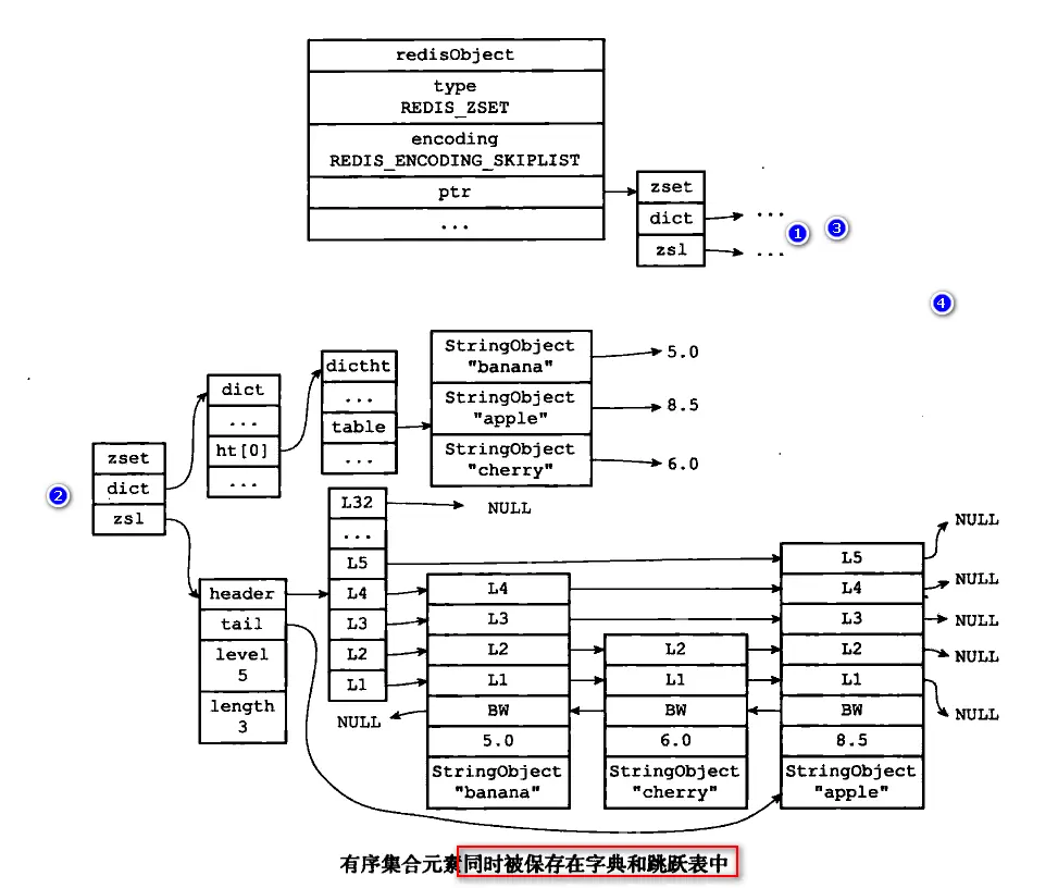 skiplist编码的有序集合结构