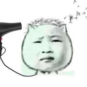 boume的个人资料头像