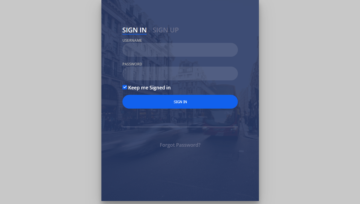 Demo image: Login Form