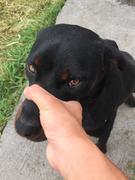 Aprilday39620的个人资料头像