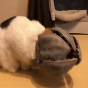 娱乐小编于2018-10-31 13:28发布的图片