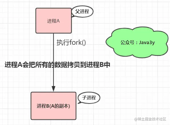 父进程的数据拷贝到子进程中