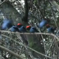 程序员趣事于2018-10-04 10:20发布的图片