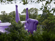 CAIsoul的个人资料头像