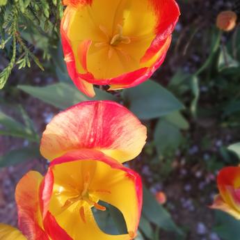 王飞飞于2018-10-05 09:51发布的图片