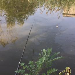 爱拍照的小胖纸于2018-10-06 10:02发布的图片