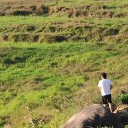 wuxiaojian的个人资料头像