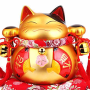 chenzhizhuo的个人资料头像