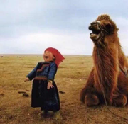 wzch333的个人资料头像