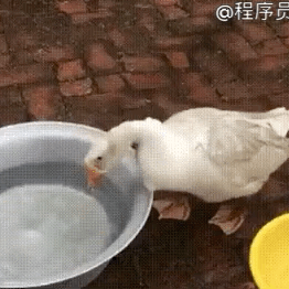 程序员趣事于2018-11-01 10:09发布的图片