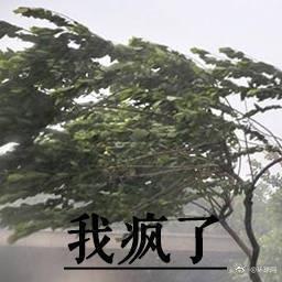 中药接骨散于2018-11-01 17:43发布的图片