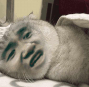 进击的UIView的个人资料头像