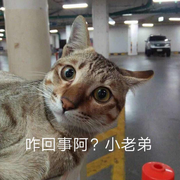 刘东阁的个人资料头像