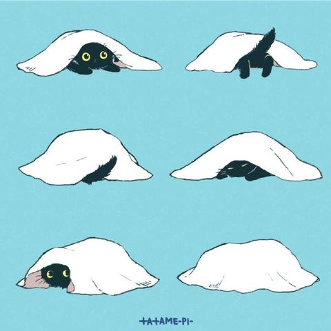 美术课代表于2018-11-11 17:38发布的图片