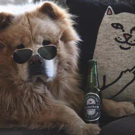 程序圜_于2018-11-13 10:35发布的图片