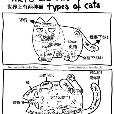 一百一于2018-11-13 14:31发布的图片