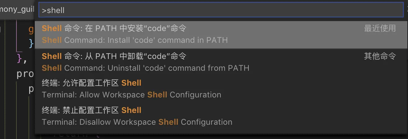 如何使用命令行工具打开VS Code