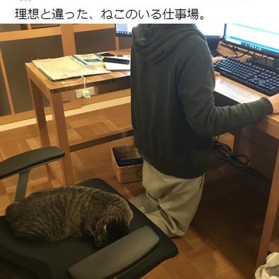 娱乐小编于2018-11-14 13:50发布的图片