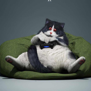 代可波罗的个人资料头像