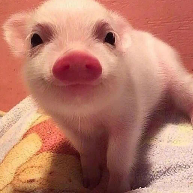 无名无名于2018-11-14 15:44发布的图片