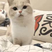 学海无涯哭TMD的个人资料头像