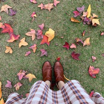 大发呀于2018-11-15 09:11发布的图片