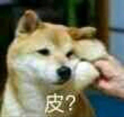 花开彼岸兲的个人资料头像
