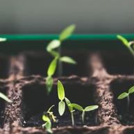 网路冷眼于2018-11-15 18:11发布的图片