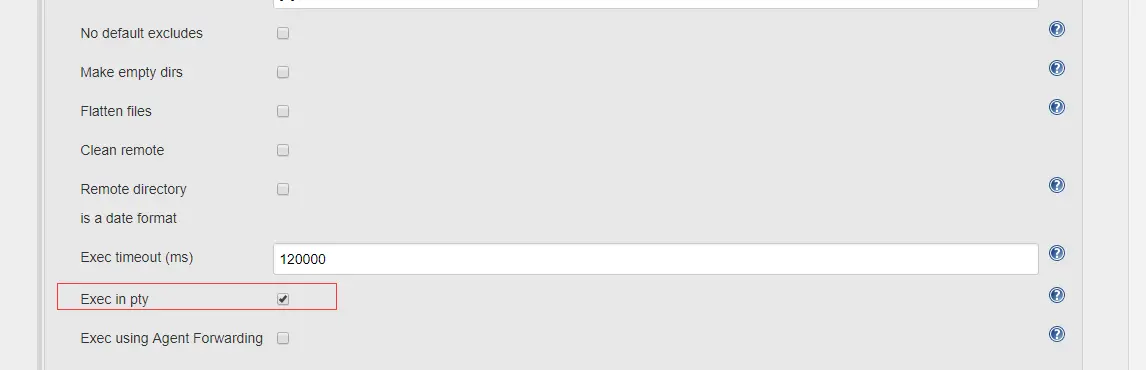 错误1解决勾选Exec in pty