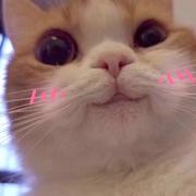 w7y的个人资料头像