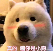 完颜阿骨折的个人资料头像